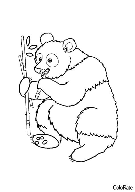 Раскраска Поедание бамбука распечатать Панды