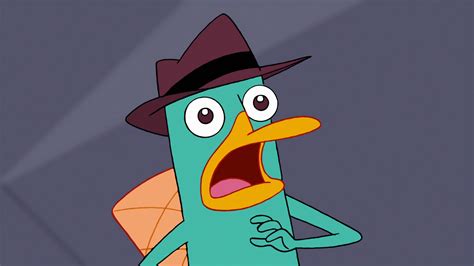 Perry The Platypus Wallpaper 54 Images