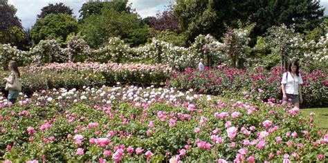 Queen Marys Rose Gardens Patrimonio De La Unesco Lo Mejor De 2022