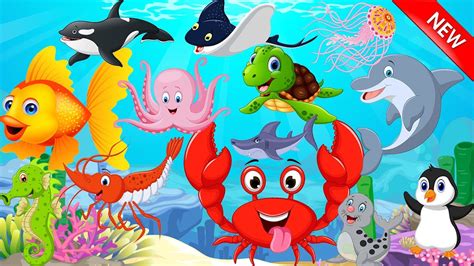 Sea Animals Learn For Kids Learn Sea Animals Water Animals Names