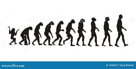 Human Evolution Stock Vector Illustration Of Theory Evolution 1658437