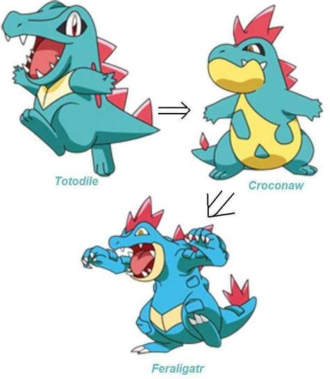 Totodile Evolution Pokemon Starter Evolutions Pokemon Pokemon Starters