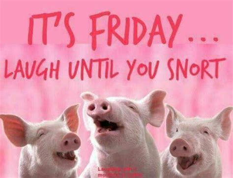 Friday pigs | Its friday quotes, Friday quotes funny ...