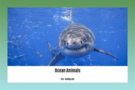 Unveiling The Wonders Fascinating Facts About Ocean Animals