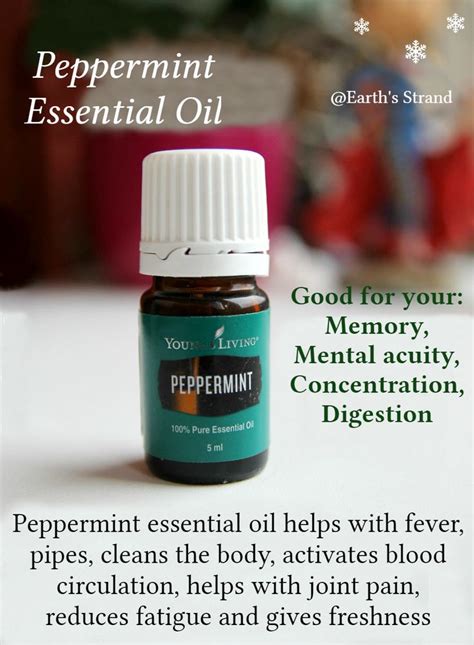 Peppermint Essential Oil Is Wonderful For Studies And Work It Helps