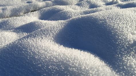 Wallpaper Snow Snowdrifts Prickles Winter Hd Picture Image