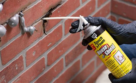 Using Foam Sealants For Pest Prevention Adhesives And Sealants Industry