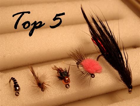 Colorado Fly Fishing Reports Best 5 Flies For Boulder Creek