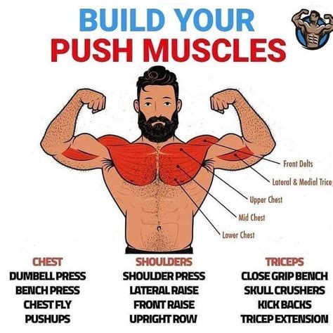 ⏰ Gym Tips Posted Every Day ⏰ On Instagram “build Your Push Muscles💪🏼 🔥follow