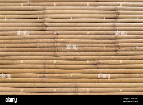 Bamboo Panel Texture Background Stock Photo Alamy