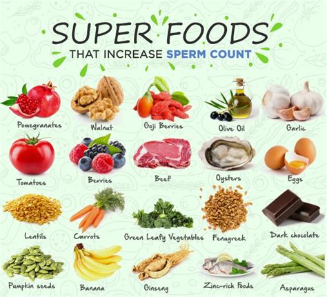 10 food to increase your sperm count and fertility food poin