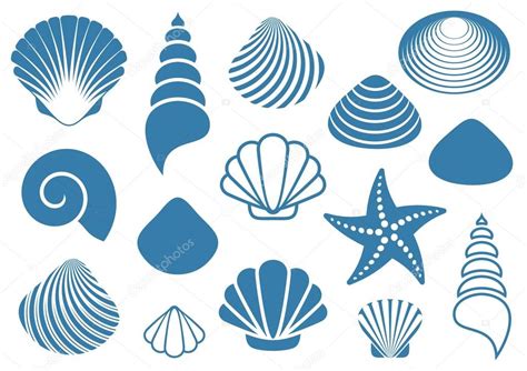 Sea Shells Stock Vector Image By ©blumer 1979 53315741