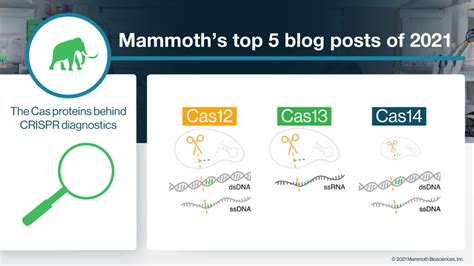 Mammoths Top 5 Blog Posts Of 2021 Mammoth Biosciences