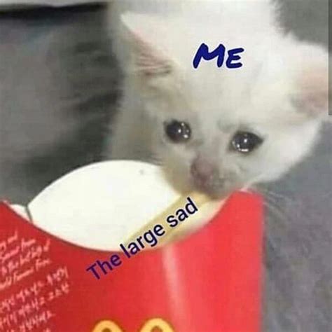 60 Best Crying Meme Meme Central