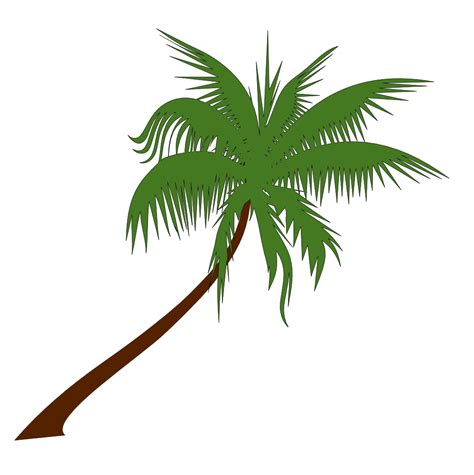 Cara Menggambar Pohon Kelapa Comment Dessiner Un Palmier Youtube Riset
