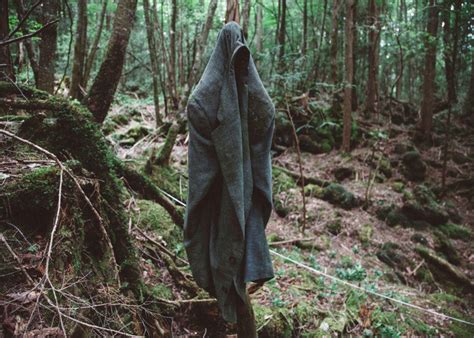 10 Most Haunted Forests Around The World — Amazing Travel Tours Know