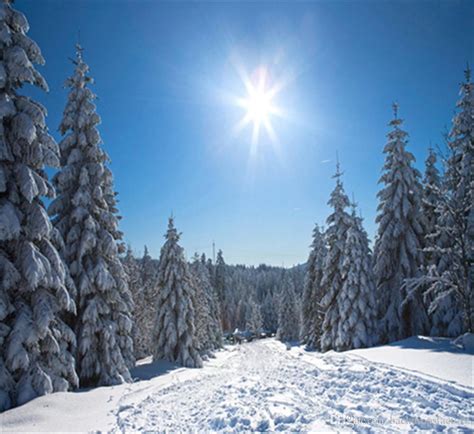 2019 Sunny Blue Sky Winter Backdrops For Photography Thick
