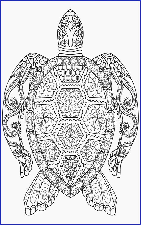 Mandala Turtle Coloring Pages Learning How To Read