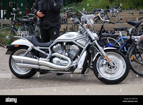 Vrsca V Rod Harley Davidson 2003 Jubilee Modell Feiert 100 Jahre Hd