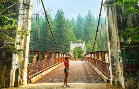 The Most Photogenic Suspension Bridges To Explore In Bc