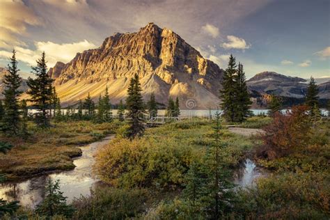 Bow Lake Canadian Rockies During Autumn Stock Photo Image Of River