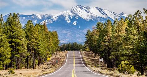Flagstaff is often called the the city of seven wonders because it sits in the midst of the coconino national forest and is surrounded by the grand. Five Things To Know About Living In Flagstaff Arizona