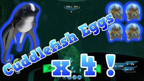 How To Find All 4 Cuddlefish Eggs Exact Locations Subnautica Youtube
