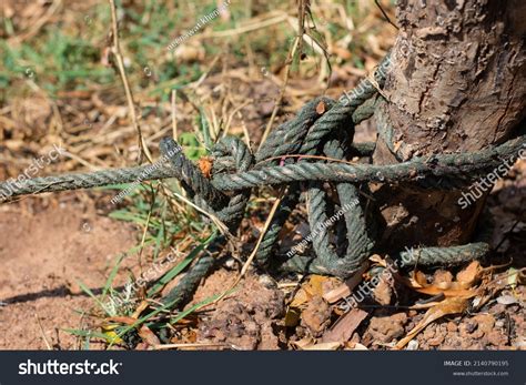 Nylon Rope Tied Knot Pulled Tight Stock Photo 2140790195 Shutterstock