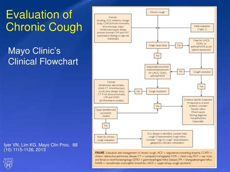 Ppt The Evaluation Of Chronic Cough Powerpoint Presentation Free