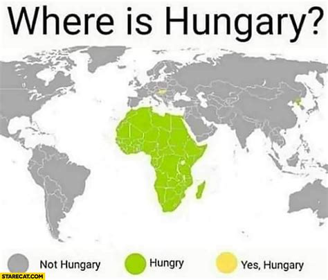 With tenor, maker of gif keyboard, add popular hungry meme animated gifs to your conversations. Where is Hungary on the map? Not Hungary, hungry, yes ...