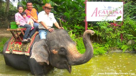 Jalan kemus, simpang empat, malacca, malaysia. A'famosa animal World Safari alor gajah, Malacca, Malaysia ...