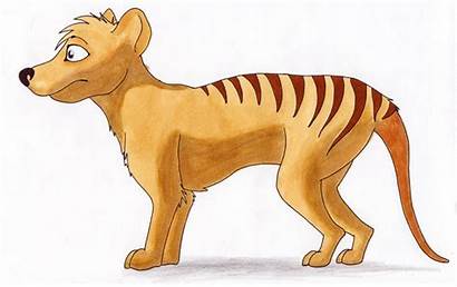 Clipart Thylacine Tiger Tasmanian Thylacines Profile Anatomy