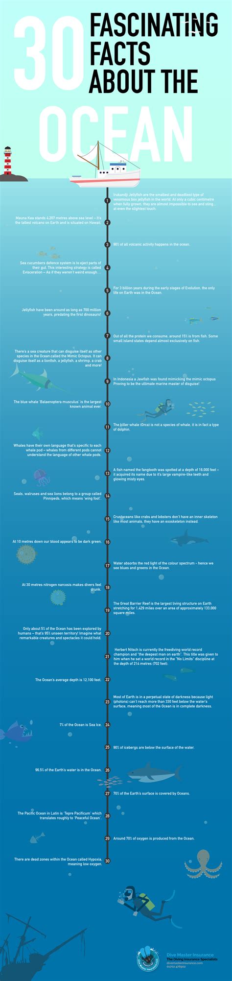 Fascinating Facts About The Ocean Infographic Dive Master Insurance