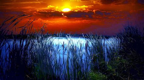 Reed By A Blue Pond At Sunset R Pond Reeds R Sunset Clouds Hd
