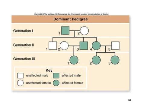 Biology Chapter 15 Linked Genes Sex Linkage Pedigrees Flashcards