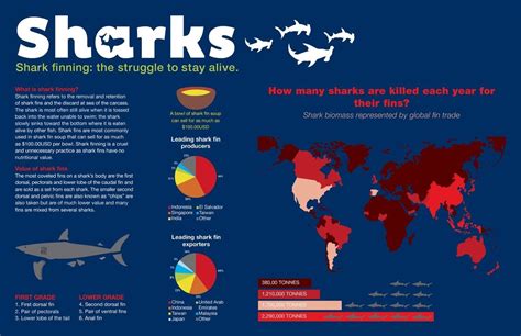 Sharkfinning The Struggle To Stay Alive Infographic Sharks Shark Fin