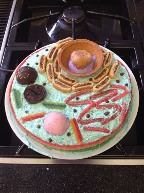 We did not find results for: Edible cell Cell Cake | Animal cell, Edible cell, Edible ...