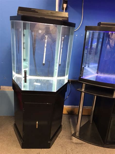 60 Gallon Hexagon Aquarium Fish Tank Complete Set Up 400 For Sale In