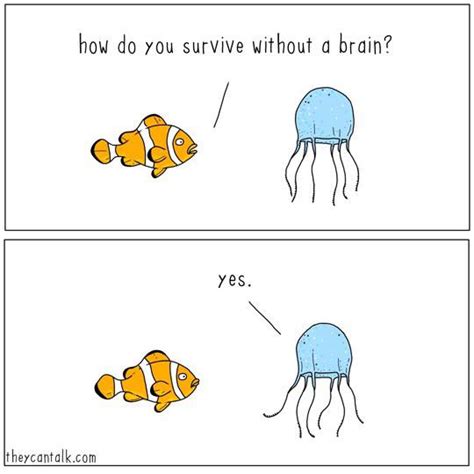Jellyfish Rcomics
