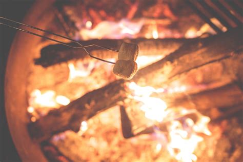 Free Images Light Flame Fire Campfire Smore Camp Marshmallow