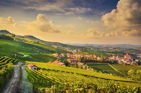 Langhe Vineyards View Barolo And La Morra Piedmont Italy Europe