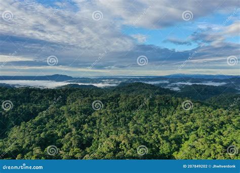 Aerial View Of A Bright Green Tropical Rainforest With Clouds Covering