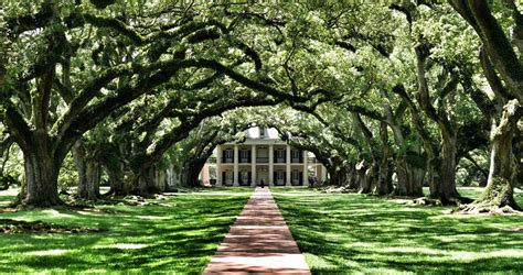 Here Are The Best Things To Do In Louisiana Scenic States