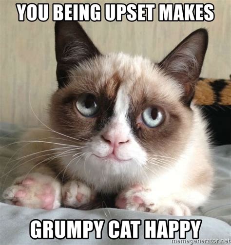 You Being Upset Makes Grumpy Cat Happy Happy Grumpy Cat