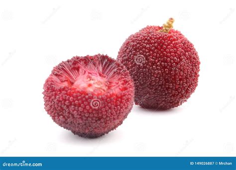 Fresh Waxberry Isolated On White Stock Image Image Of Fruit Rubra