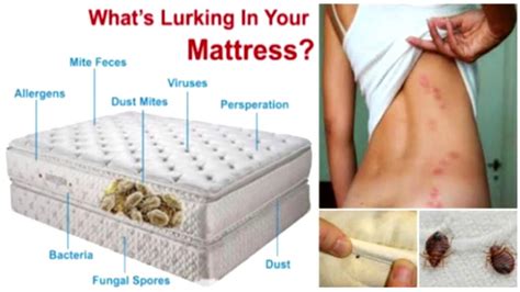 How To Get Rid Of Dust Mites In Mattress Easily But Effectively