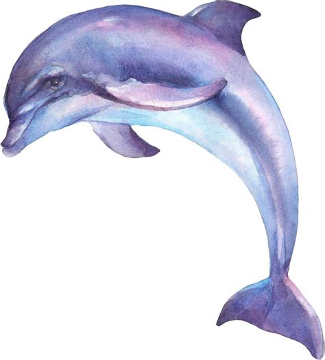 Watercolor Purple Dolphin Wall Decal Removable Fabric Vinyl Wall