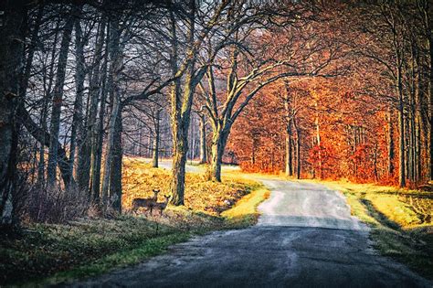 A Drive Through The Country Photograph By Deb Henman Fine Art America