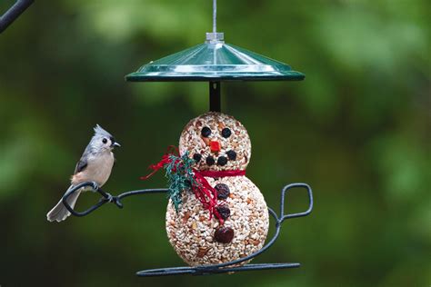 Frosty Feathered Friends Wild Birds Bird Food Feeders The Talking Walnut