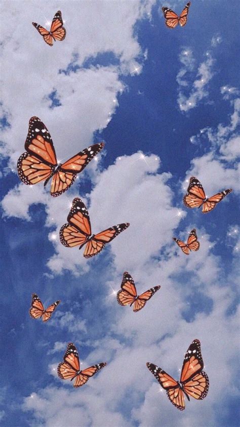 Aesthetic Orange Butterfly Wallpaper